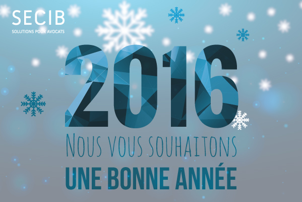 SECIB vous souhaite une belle et heureuse année 2016 !